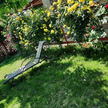 Casa De Vacanta Alexoiu Două Mai Zewnętrze zdjęcie