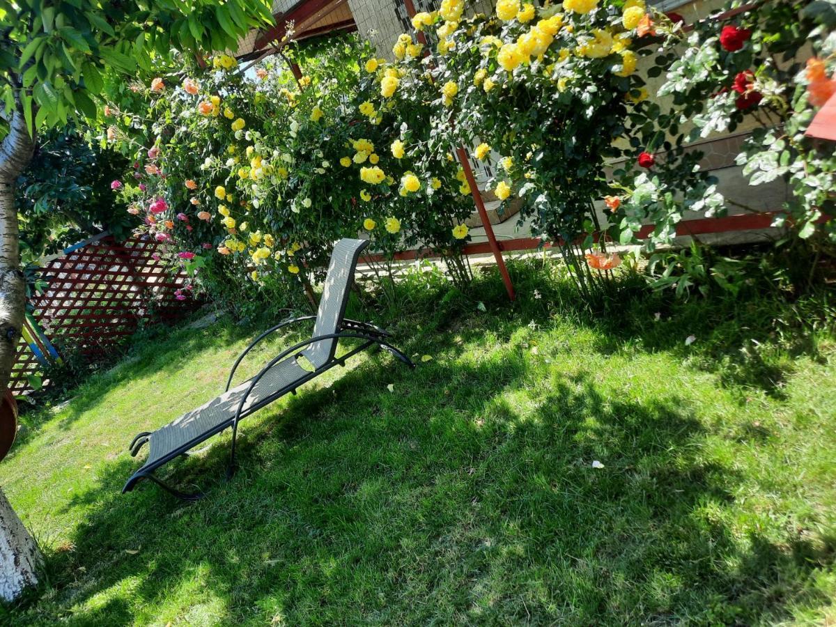 Casa De Vacanta Alexoiu Două Mai Zewnętrze zdjęcie